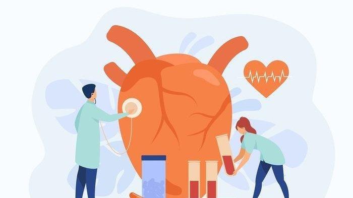 Ilustrasi jantung