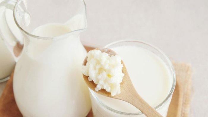 Ilustrasi susu kefir hasil fermentasi yang mengandung probiotik