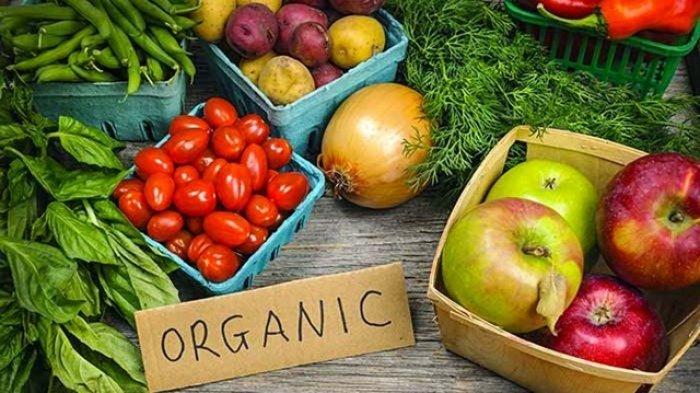 ilustrasi makanan organik