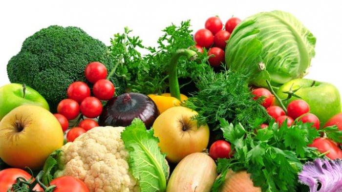 ilustrasi sayur dan buah