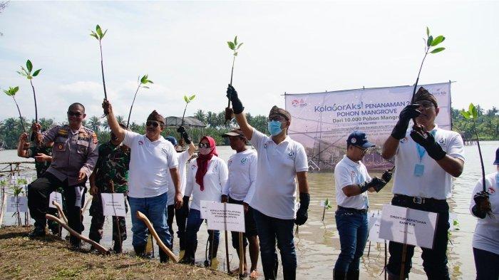 bank bjb kolaboraksi penanaman 2061 pohon Mangrove dari 10.000 pohon Mangrove pada tahun 2022