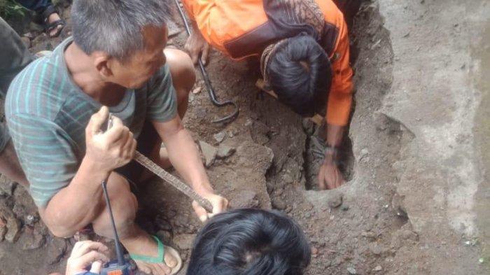 Petugas BPBD saat mengevakuasi ular sanca di Kampung Paisir Ipis, Keluarahan Subangjaya, Kecamatan Cikole, Kota Sukabumi.