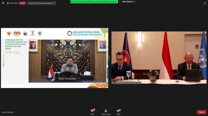 Menteri Koordinator Bidang Perekonomian Airlangga Hartarto dalam sambutannya secara virtual pada acara Webinar United Nations Economic And Social Council (UN-ECOSOC) High Level Political Forum (HLPF), Senin (11/07).