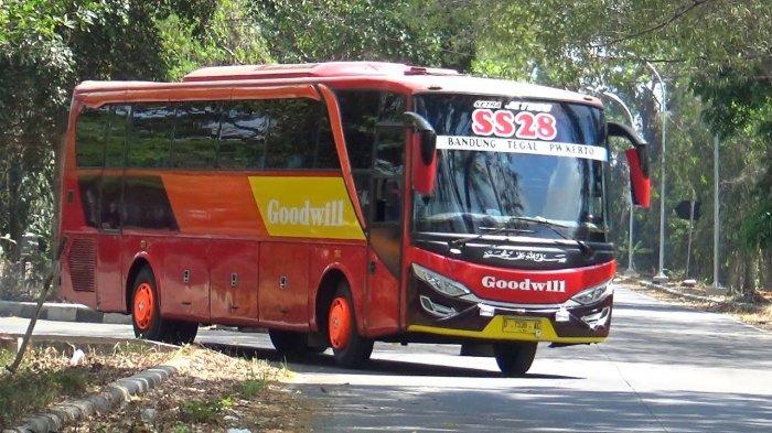 Ilustrasi bus