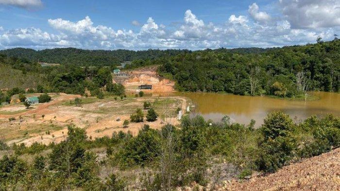 Kondisi hutan di Batam yang sudah rusak