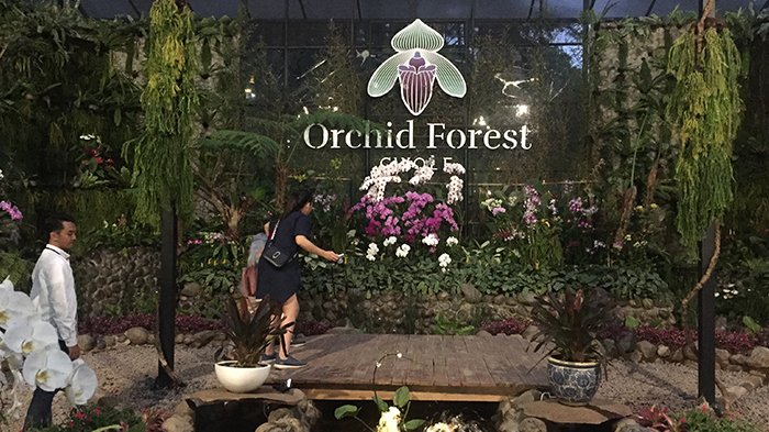 Pintu masuk Orchid Forest Cikole dengan bentuk seperti anggrek jenis papio