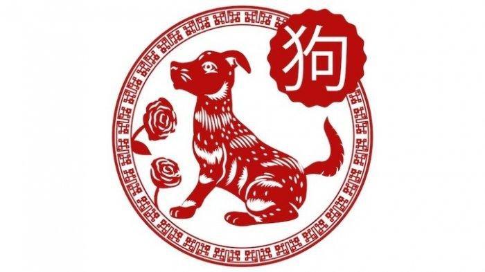 Shio Anjing