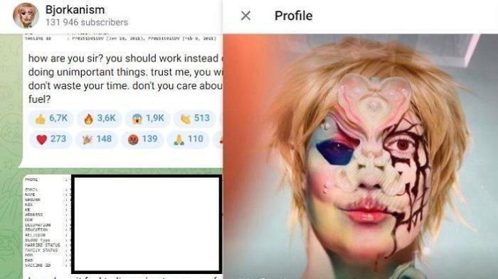 Foto profil Bjorkanism di Telegram, Hacker yang kerap bagikan data pribadi Indonesia