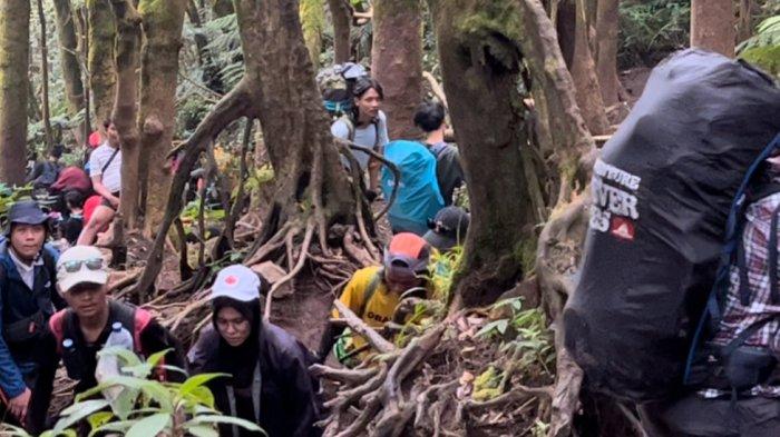 Kondisi pendakian di Gunung Gede via Jalur Gunung Putri pada momen libur panjang 14-16 Mei 2022.