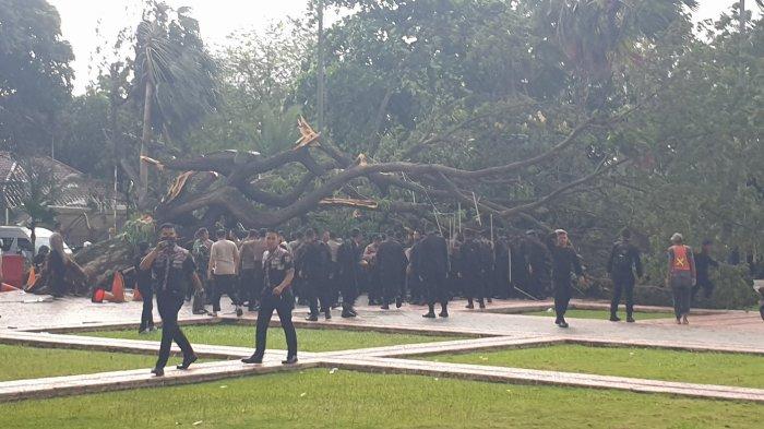 Pohon tumbang di Balai Kota Jakarta, Gambir, Jakarta Pusat, Kamis (10/11/2022).