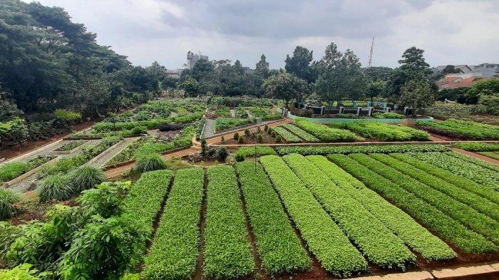 Agro Eduwisata Ragunan, destinasi liburan baru di Jakarta Selatan. Di sini bisa jalan-jalan menikmati udara segar sambil belajar tentang berbagai jenis tanaman.