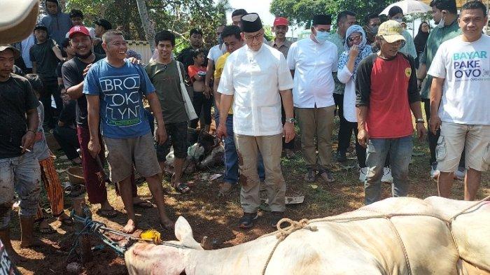 Gubernur DKI Jakarta, Anies Baswedan menyembelih sendiri sapi kurban keluarga di belakang rumahnya di Babul Khoirot, Lebak Bulus, Cilandak, Jakarta Selatan pada Minggu (10/7/2022).