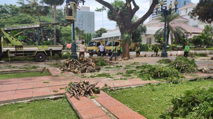 Suasana terkini di Halaman Balai Kota DKI Jakarta, Jumat (11/11/2022). pohon tumbang sudah dibenahi dari lokasi tersebut.