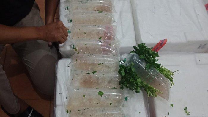 Polresta Bandara Soekarno-Hatta menemukan 34 boks berisi benih lobster siap kirim ke singapura menggunakan pesawat Garuda Indonesia GA-836 rute Jakarta - Singapura di Aprol 8 Terminal Kargo Bandara Soekarno-Hatta, Selasa (6/4/2021).