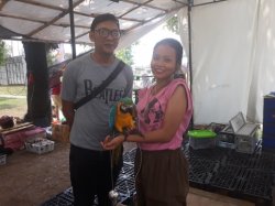 Burung Macaw Jadi Hewan Termahal di Flona Synergreen 2018