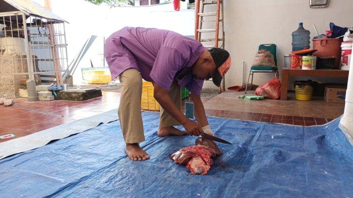 Petugas Sudin KPKP Jakarta Timur saat melakukan pemeriksaan postmortem organ hewan kurban di tempat pemotongan, Kecamatan Kramat Jati, Minggu (10/7/2022).