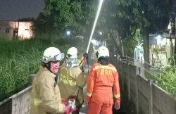 Personel Damkar Jakarta Timur saat proses penyemprotan cairan kimia pembasmi ulat bulu di permukiman warga Duren Sawit, Sabtu (21/11/2020)