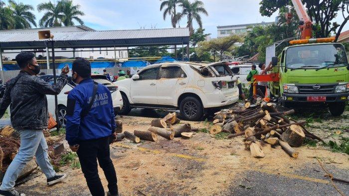 Pohon tumbang menimpa dua mobil yang terparkir di area Rumah Sakit Pelni, Petamburan, Jakarta Barat pada Kamis (23/12/2021) siang.
