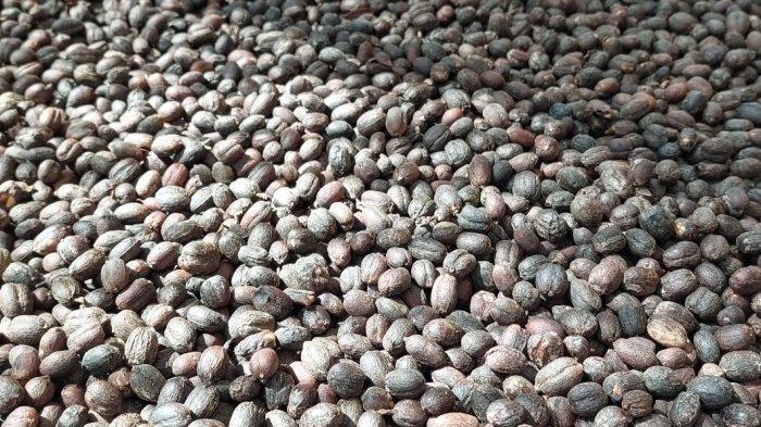 Summarecon Mall Bekasi menggelar event Bekasi Coffee Week (BCW) 2022 untuk memanjakan para pecinta kopi di Indonesia.