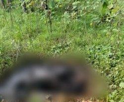 Penemuan jasad wanita dalam kondisi hangus terbakar di Desa Suradita, Kecamatan Cisauk, Kabupaten Tangerang, pada Jumat (9/7/2021).