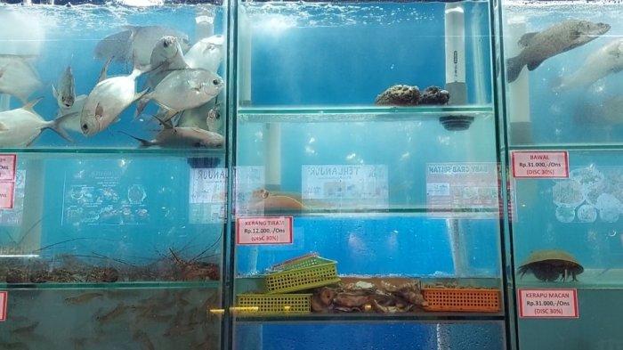 Kampoeng Seafood memiliki pengalaman menyantap seafood dengan varian menu yang super lengkap.