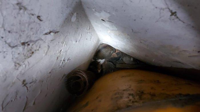Evakuasi kucing di Matraman, Jakarta Timur yang terjebak selama 3 hari diantara toren dan tumpukan barang-barang, Minggu (24/1/2021).