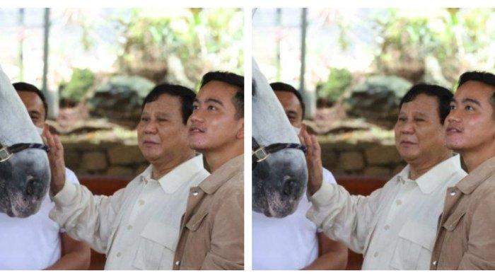 Ketua Umum Partai Gerindra, Prabowo Subianto memberikan nasihat kepada Wali Kota Solo Gibran Rakabuming Raka di sela kegiatan berkuda.
