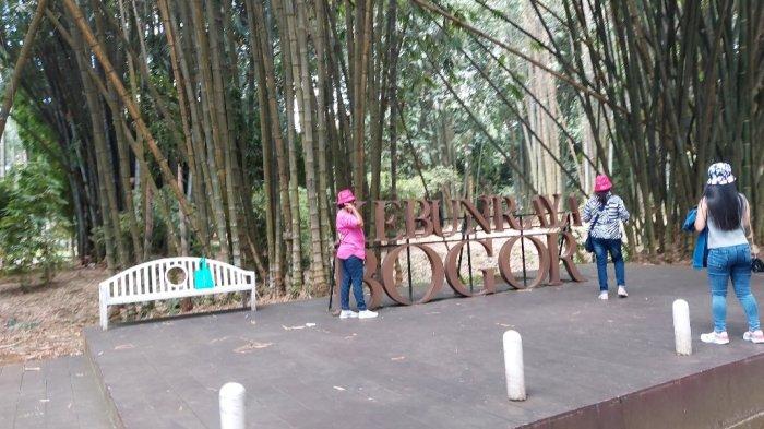 Terdapat sejumlah spot menarik yang bisa dikunjungi kalau Anda datang ke Kebun Raya Bogor. Mulai dari spot-spot instagramable, sampai sejumlah spot yang sarat akan nilai sejarah.