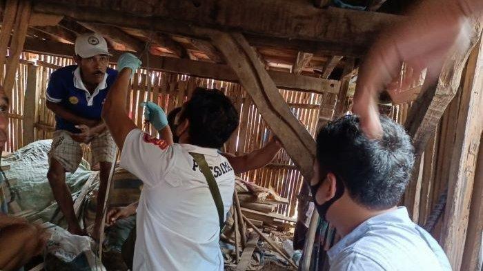 Olah TKP dilakukan Polres Bima dalam kasus kematian bocah 11 tahun di Desa Teke, Kecamatan Palibelo, Kabupaten Bima.