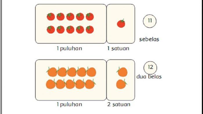 Pembahasan dan kunci jawaban buku tema 3 kelas 1 SD halaman 65-66.