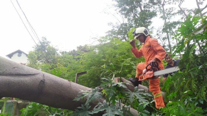 Personel Damkar Jakarta Timur saat proses evakuasi batang Pohon Angsana yang tumbang menimpa atap RPTRA Griya Tipar Cakung, Kamis (10/2/2022)