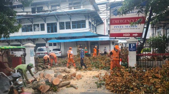 Sejumlah pohon di Jakarta Selatan tumbang saat hujan deras disertai angin kencang melanda ibu kota pada Sabtu (5/3/2022).