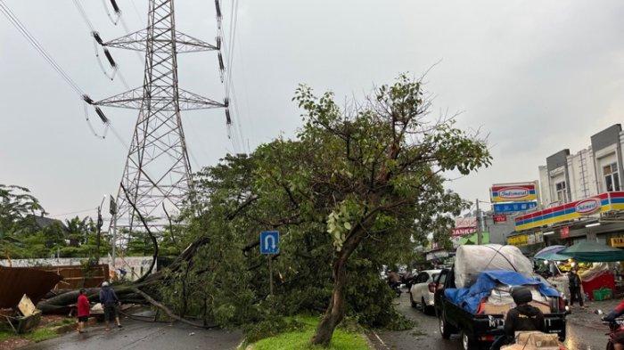 Pohon besar puluhan meter tumbang dan tutup satu jalur di Jalan Raya GDC, Sukmajaya, Kota Depok, Senin (13/6/2022).