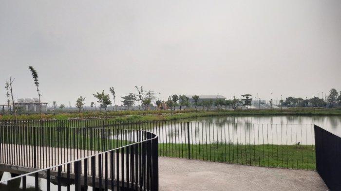 Pemandangan di Taman Sungai Kendal, Jakarta Utara. Menariknya, biasanya di sini juga ditumbuhi dengan bunga matahari yang bermekaran.