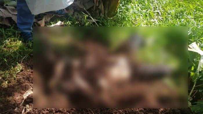 Jasad perempuan tanpa identitas yang ditemukan di Taman Kota Tol Jagorawi, Makasar, Jakarta Timur, Minggu (7/4/2019).