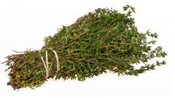 Thyme merupakan salah satu jenis rempah daun asal Mesir yang sangat terkenal. Daunnya mungil, bentuknya oval kecil dengan tangkai kecil.