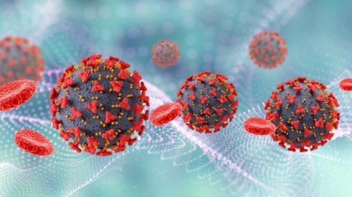 Ilustrasi virus corona varian Omicron asal Afrika Selatan dan disebut tidak bisa dilawan vaksin virus corona saat ini