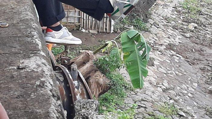 Warga setempat menanti kemunculan ular di dekat antara Pintu Air Karet dan Rumah Susun Petamburan, Kecamatan Tanah Abang, Jakarta Pusat, Selasa (9/2/2021).