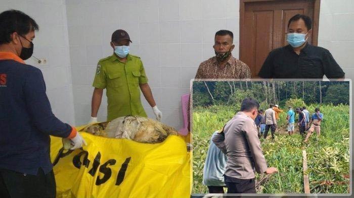 Warga saat menemukan mayat perempuan dalam karung. Insert: Proses autopsi jenazah