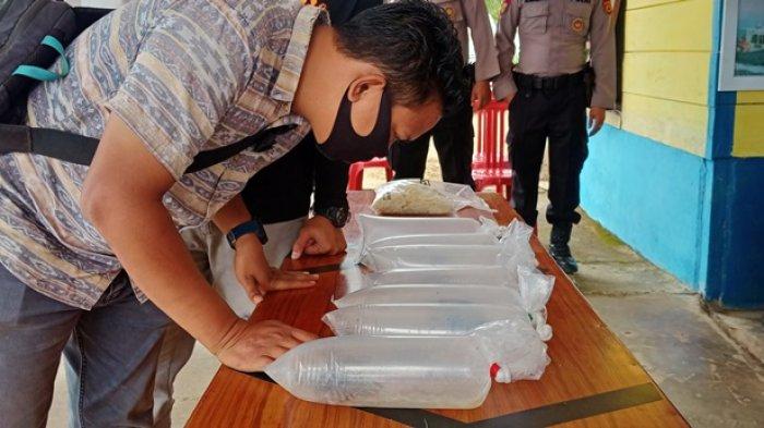 Anggota melihat 94.500 ekor baby lobster yang berhasil digagalkan anggota Polair Polres Tanjabtim