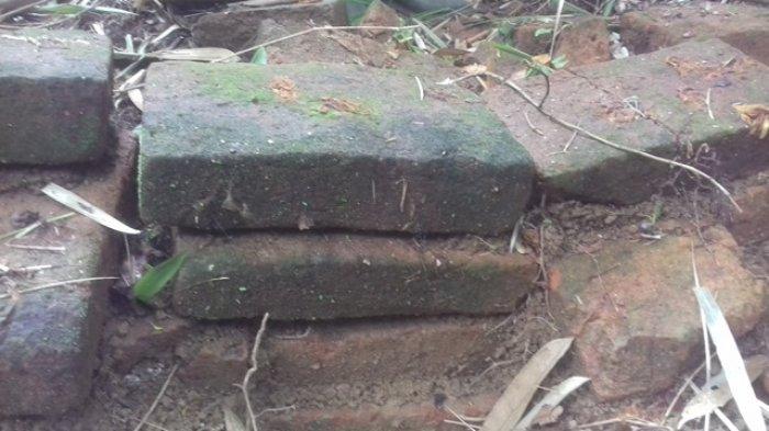 Tegakan empat kayu setinggi sekitar 30 cm masih kokoh di belakang rumah salah seorang warga bernama bang Code, di RT 8 Dusun Semambu Bunting, Desa Jambi Kecil, Kecamatan Maro Sebo, Kabupaten Muarojambi, Provinsi Jambi.
Kayu jenis sungkai itu kini telah menjadi fosil kayu.