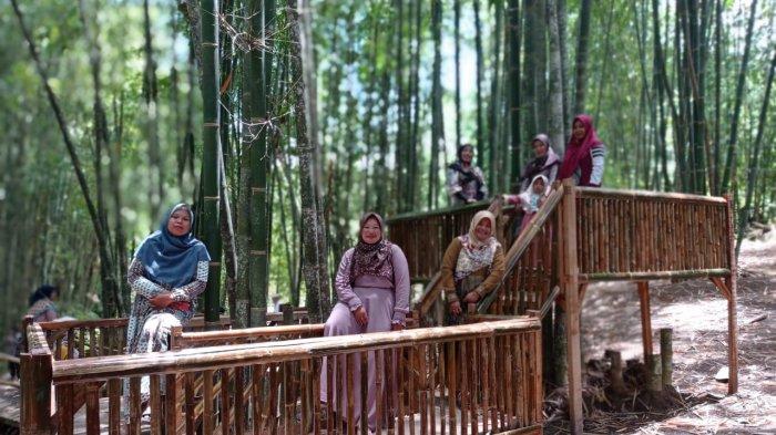 SUASANA sejuk dan asri, langsung terasa saat memasuki kawasan Hutan Bambu Buluh Perindu, di Desa Baru Semerah, Kecamatan Tanah Cogok, Kabupaten Kerinci, Jambi.