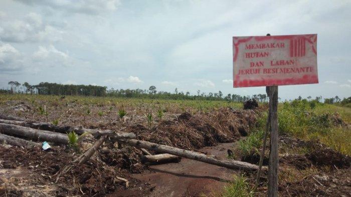 Kondisi kawasan lahan bekas terbakar di Kecamatan Dendang, Kabupaten Tanjung Jabung Timur