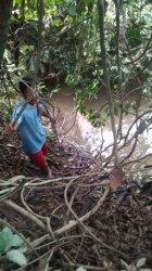 Penemuan Mayat dengan Kondisi tak Utuh di Mandiangin Masih Misterius, Warga Duga Ini Penyebabnya