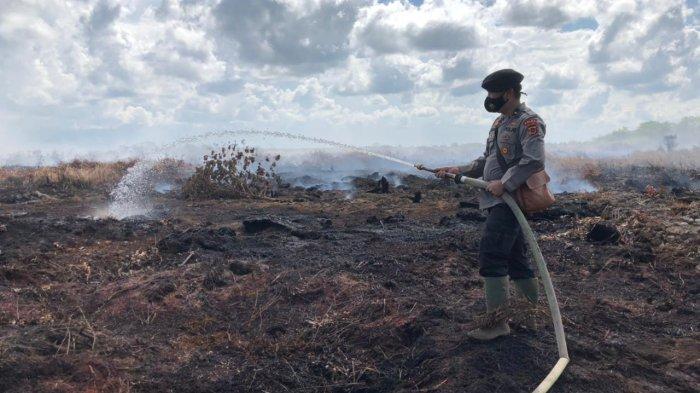 Sat Brimob Polda Jambi bersama rombongan masyarakat setempat melakukan pemadaman dan pendinginan lahan terbakar di Desa Sungai Sayang Parit 7 Kecamatan Sadu Tanjabtim, Sabtu (6/3/2021) kemarin.