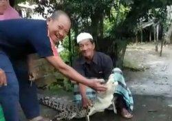 Dikira Ikan Besar, Pukat Milik Nelayan di Olak Kemang Kota Jambi Jaring Seekor Buaya