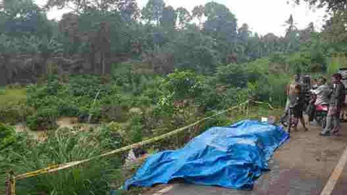 Truk bermuatan ambles ke sungai menghindari pengangkut kelapa sawit di Desa Teluk Kayu Putih, Kecamatan VII Koto, Kabupaten Tebo, Selasa 10 November 2020