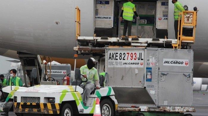 Vaksi sumbangan Jepang tiba di Indonesia