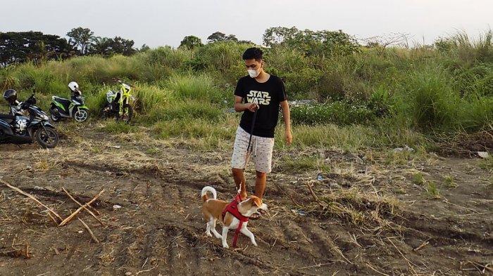 Anjing kesayangan Iwan Budi, Mochi dihadirkan untuk mencari potongan tubuh yang belum ditemukan di Jalan Raya Marina, Rabu (14/9/2022).
