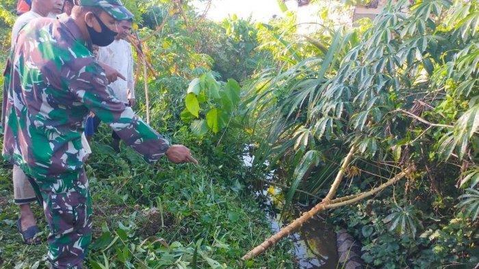 Babinsa bersama masyarakat saat hendak melakukan penangkapan terhadap seekor ular piton berukuran besar di kawasan Gampong Baro, Kecamatan Setia Bakti, Aceh Jaya, Kamis (15/4/2021).
